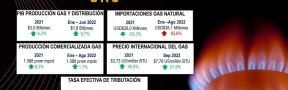 Fichas_gas_2022_II