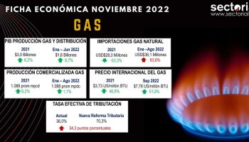 Fichas_gas_2022_II