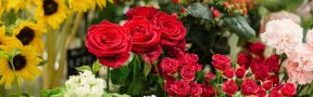 Flores_demanda_USA