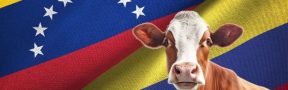 Comercio Ganadero Colombia
