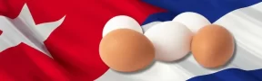 Huevo a Cuba