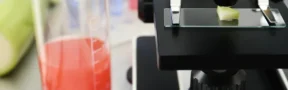 ICA Inspecciona Distribuidores de Plaguicidas