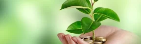 Finanzas Verdes