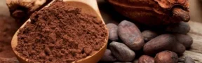 Cacao