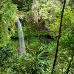 biodiversidad