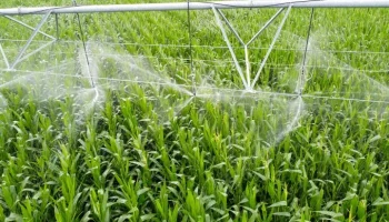 agroinsumos