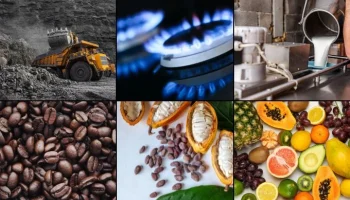 sectores en alerta y con oportunidad