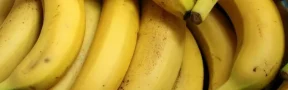 Bananero