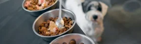 Alimentos para mascotas