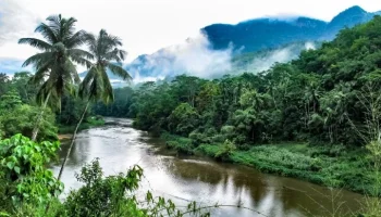 País tropical