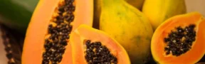 Papaya