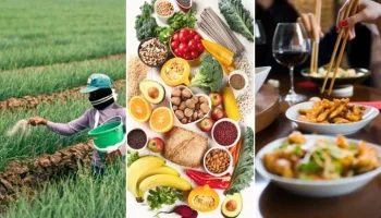 agro, alimentos y restaurantes