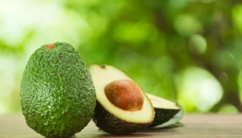 Producción de aguacate