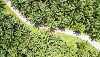Img destacada (680 x 390 px) (56)