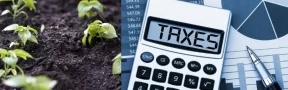 Impuestos y Altas Tasas de Interés Enemigos de los Cultivos de Larga Producción