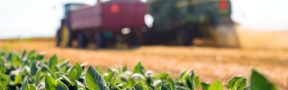 Insumos_Agricolas
