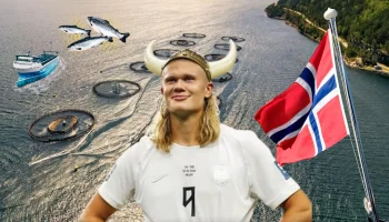 Noruega