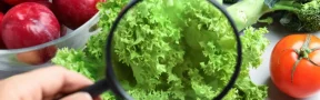 Nuevo Bioplaguicida para Hongos en Arroz y Hortalizas