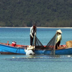 Pescador artesanal