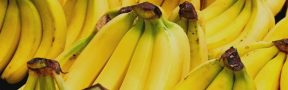 Precio_banano