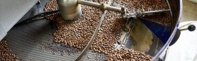 Producción_De_Café