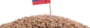 Rusia_Granos