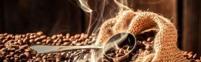 Sacos de Café