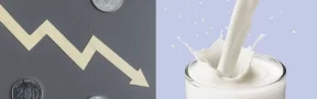 ¿Se Reducirá el Precio de la Leche con la Llegada de las Lluvias?