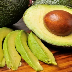 aguacate de exportación