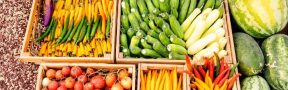alimentos