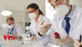 Alimentos Transgénicos