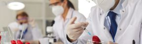 Alimentos Transgénicos