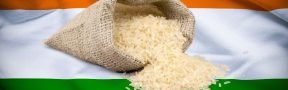 arroz_india