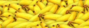 banano_agro