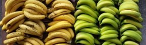 bananos_maduros