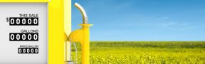 biodiesel_nature