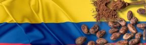 cacao_colombia