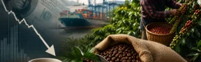cafe caida valor dolar
