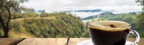 cafe_paisaje
