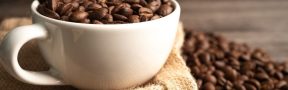 export_cafe_col