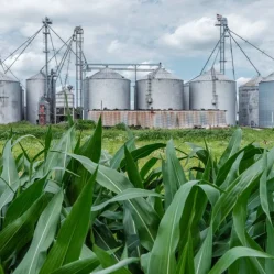 exportaciones agroindustriales