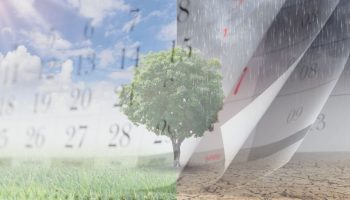 fenomeno-de-el-nino-calendario