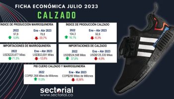 ficha_calzado_julio_2023