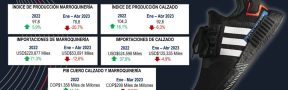 ficha_calzado_julio_2023