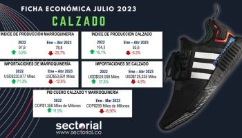 ficha_calzado_julio_2023