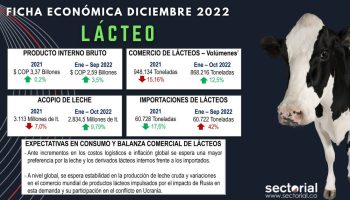 ficha_lacteo_dic_2022