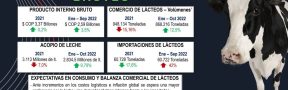 En el Sector Lácteo, Mientras las Importaciones Aumentan al 42%, las Exportaciones Caen al 47%