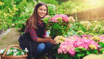 floricultura