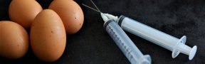 huevos_vacuna