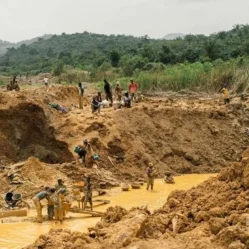 Minería ilegal